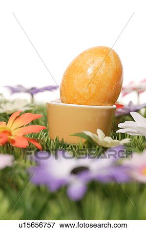 cup, bloom, close-up, CLOSE, blossom, abloom View Large Photo Image Stock Photo - cup, bloom, close-up, CLOSE, blossom, abloom. Fotosearch