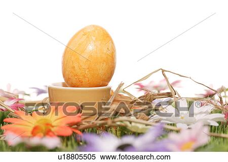 cup, bloom, close-up, CLOSE, blossom, abloom View Large Photo Image Stock Photography - cup, bloom, close-up, CLOSE, blossom, abloom. Fotosearch