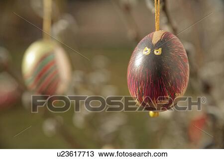 Stock Image - weide, strauß, strauss, anika, animal, art. Fotosearch