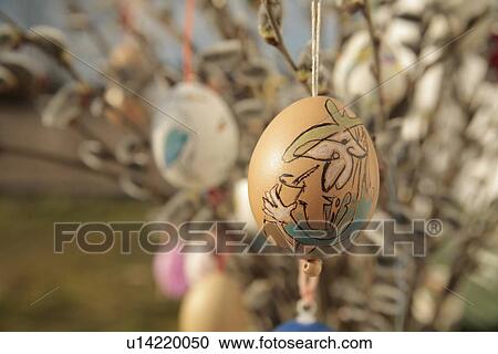 Stock Image - weide, strauß, strauss, anika, art, brown. Fotosearch