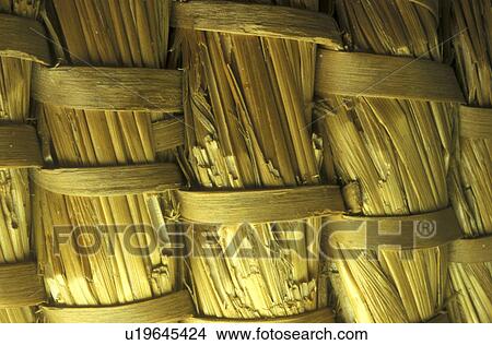 background, beige, Bernhard, brown, CLOSE, close-up View Large Photo Image Picture - background, beige, Bernhard, brown, CLOSE, close-up. Fotosearch