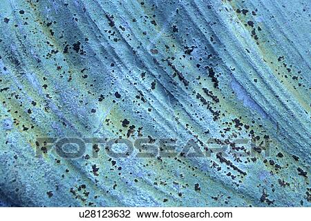 Stock Image - background, Bernhard, blue, CLOSE, close-up, cow. Fotosearch