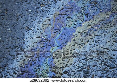 background, Bernhard, blue, CLOSE, close-up, cow View Large Photo Image Stock Image - background, Bernhard, blue, CLOSE, close-up, cow. Fotosearch