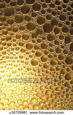 background, Bernhard, circle, CLOSE, close-up, cow View Large Photo Image Stock Image - background, Bernhard, circle, CLOSE, close-up, cow. Fotosearch
