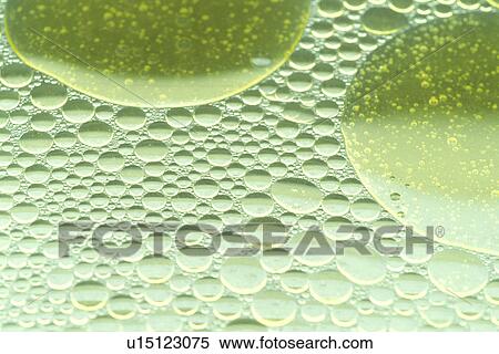 background, Bernhard, circle, CLOSE, close-up, cow View Large Photo Image Stock Photography - background, Bernhard, circle, CLOSE, close-up, cow. Fotosearch