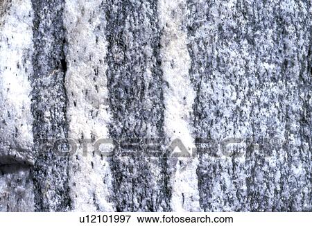 background, Bernhard, CLOSE, close-up, cow, gray View Large Photo Image Stock Photo - background, Bernhard, CLOSE, close-up, cow, gray. Fotosearch