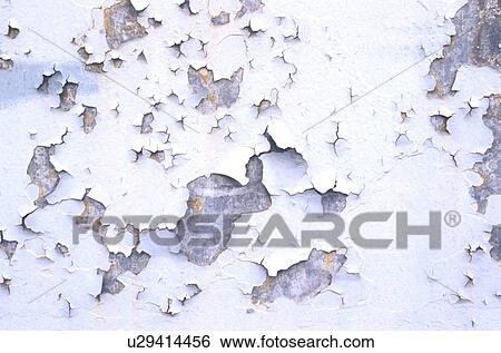background, Bernhard, CLOSE, close-up View Large Photo Image Stock Photograph - background, Bernhard, CLOSE, close-up. Fotosearch