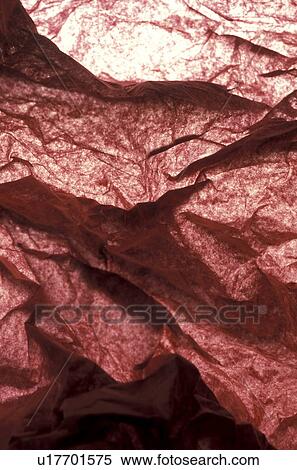 falten, background, Bernhard, CLOSE, close-up, cow View Large Photo Image Stock Photography - falten, background, Bernhard, CLOSE, close-up, cow. Fotosearch