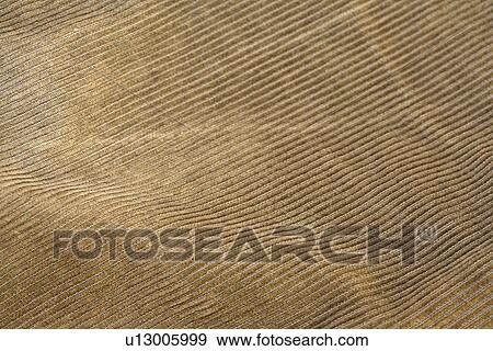 Stock Photo - untergrund, background, beige, brown, cloth, cord, detail. Fotosearch