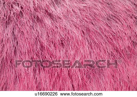 Stock Photograph - untergrund, background, coat, conspicuous, cozy, dazzling, fluffy. Fotosearch