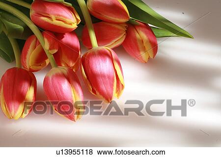 Stock Photo - sentimental, florist, apology, detail, bouquet, sepals, adaptation. Fotosearch