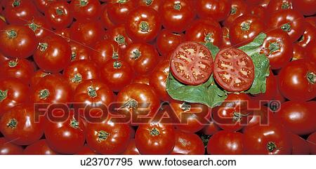 Stock Photography - background, CLOSE, close-up, drink, eat, eating, food. Fotosearch
