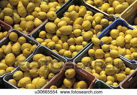 beauty, citrus, CLOSE, close-up, day, drink, eat View Large Photo Image Picture - beauty, citrus, CLOSE, close-up, day, drink, eat. Fotosearch