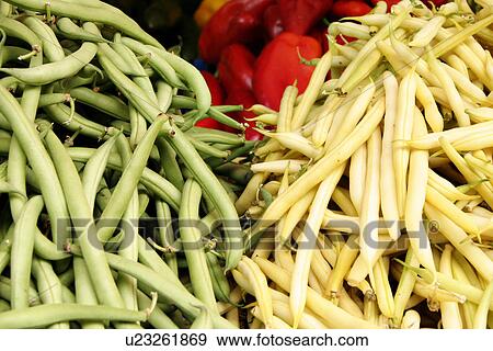 drink, bean, close-up, CLOSE, capsicum, alfred View Large Photo Image Stock Photo - drink, bean, close-up, CLOSE, capsicum, alfred. Fotosearch