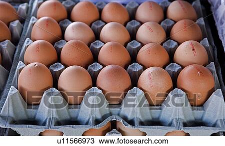 Stock Image - egg, brown, eat, diemer, cook, eggs, aliment. Fotosearch