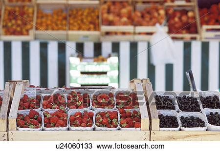 fru, berries, dornbirn, calf, blueberries, fruit, austria View Large Photo Image Stock Image - fru, berries, dornbirn, calf, blueberries, fruit, austria. Fotosearch