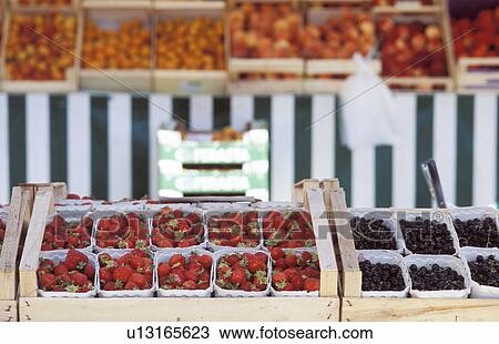 fruit, berries, dornbirn, calf, blueberries, fruits, austria View Large Photo Image Stock Image - fruit, berries, dornbirn, calf, blueberries, fruits, austria. Fotosearch