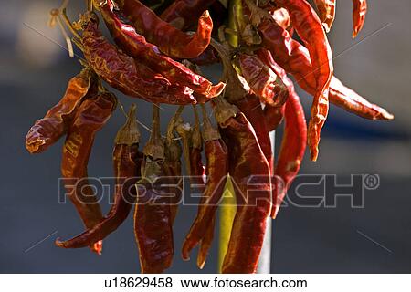 Stock Photo - Mannheim, diemer, getrocknete, germany, food, pleasure, aliment. Fotosearch