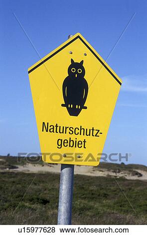 Bernhard, bubo, cow, day, eagle, green View Large Photo Image Stock Photo - Bernhard, bubo, cow, day, eagle, green. Fotosearch