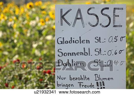 Stock Image - flower bed, alexandra, dahlia, cash box, buss, advice. Fotosearch