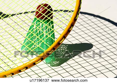 Stock Photo - chequered, badminton, checkered, checked, check-talk, alfred. Fotosearch