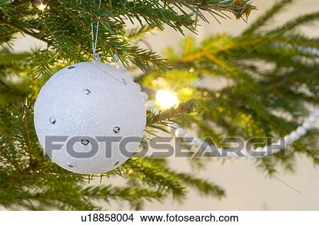 Picture - Christmas, Christmas ornament, Christmas ornaments, decoration, decorations, holiday, ornament. Fotosearch
