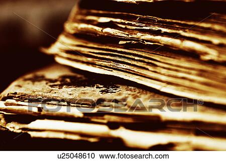 damaged, books, czech, concept, CLOSE, detail, antique View Large Photo Image Stock Image - damaged, books, czech, concept, CLOSE, detail, antique. Fotosearch