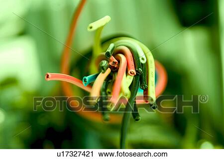 Stock Image - rechner, strom, alfred, cable, CLOSE. Fotosearch