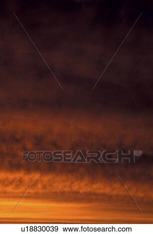 background, bad, Bernhard, brown, clouded, cloudy View Large Photo Image Stock Photo - background, bad, Bernhard, brown, clouded, cloudy. Fotosearch