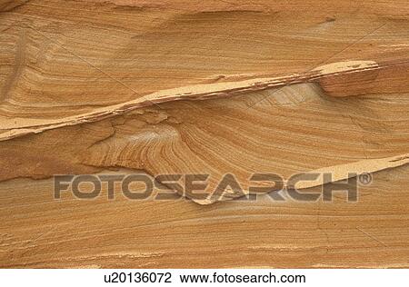 background, beige, Bernhard, brown, cow, day View Large Photo Image Stock Image - background, beige, Bernhard, brown, cow, day. Fotosearch