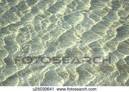 background, beige, Bernhard, brown, CLOSE, close-up View Large Photo Image Stock Image - background, beige, Bernhard, brown, CLOSE, close-up. Fotosearch