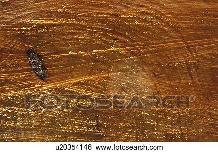 background, beige, Bernhard, brown, CLOSE, close-up View Large Photo Image Stock Photograph - background, beige, Bernhard, brown, CLOSE, close-up. Fotosearch