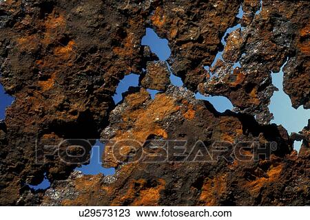 background, Bernhard, blue, brown, CLOSE, close-up View Large Photo Image Stock Image - background, Bernhard, blue, brown, CLOSE, close-up. Fotosearch