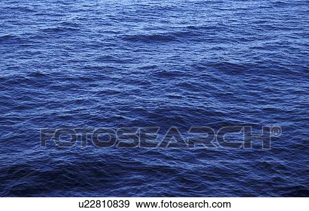 background, Bernhard, blue, cow, day View Large Photo Image Stock Photo - background, Bernhard, blue, cow, day. Fotosearch