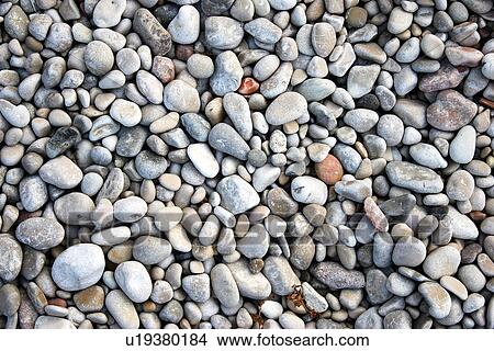 background, burkhard, gray, grey View Large Photo Image Picture - background, burkhard, gray, grey. Fotosearch