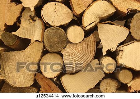 Picture - beech, alternative, background, annual rings, annual ring, alexandra. Fotosearch