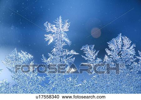 details, outline, shimmer, sparkle, ice, iceflower, melt View Large Photo Image Stock Image - details, outline, shimmer, sparkle, ice, iceflower, melt. Fotosearch