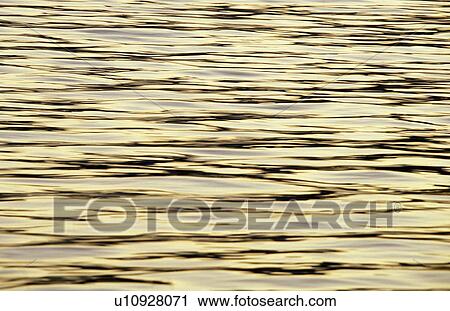 gold, background picture, glowing, calf, bregenz, golden, austria View Large Photo Image Stock Image - gold, background picture, glowing, calf, bregenz, golden, austria. Fotosearch