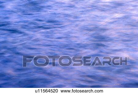 Stock Image - wasserpark, austria, background picture, calf, lake, more water, movement. Fotosearch