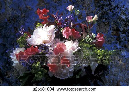 Picture - alchemilla, birthdays, birthday, Bernhard, abloom. Fotosearch
