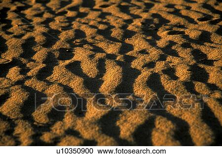 Stock Image - close-up, beach, CLOSE, brown, beige, day, abenddaemmerung. Fotosearch