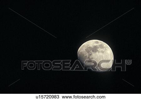 calf, collars, eerie, luminary, moon, moonstruck View Large Photo Image Stock Image - calf, collars, eerie, luminary, moon, moonstruck. Fotosearch