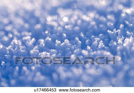 cold, blanket of snow, calf, burgenland, blue, crystals, austria View Large Photo Image Stock Image - cold, blanket of snow, calf, burgenland, blue, crystals, austria. Fotosearch