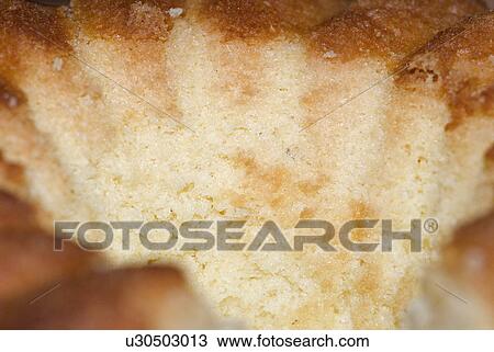 Stock Image - enjoyment, nutrition, Bundt cake, ring cake, pastries, pleasure, calories. Fotosearch