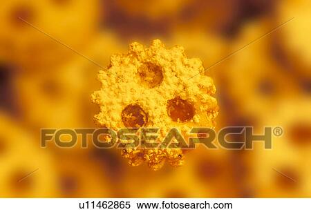 fest, advent, advent season, bake, calf, christmas, Christmas View Large Photo Image Stock Photography - fest, advent, advent season, bake, calf, christmas, Christmas. Fotosearch