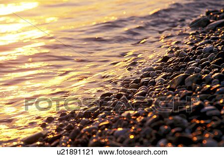 Stock Image - glitter, banks, Danube, calm, calf, gold, austria. Fotosearch