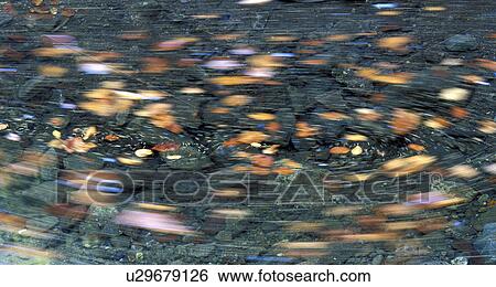 leaves, autumn, flowing, calf, boedele, movement, austria View Large Photo Image Stock Photograph - leaves, autumn, flowing, calf, boedele, movement, austria. Fotosearch