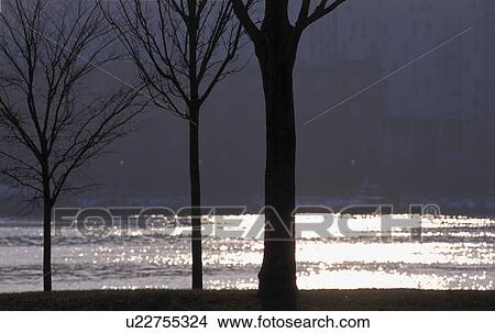 Danube Island, block of flats, Danube, condolement, calf, death, austria View Large Photo Image Picture - Danube Island, block of flats, Danube, condolement, calf, death, austria. Fotosearch