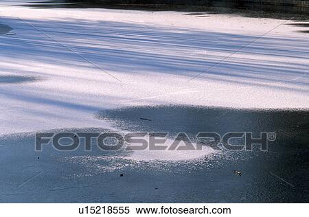 landscape, calf, ice, frozen, cold, laxenburg, austria View Large Photo Image Stock Photography - landscape, calf, ice, frozen, cold, laxenburg, austria. Fotosearch