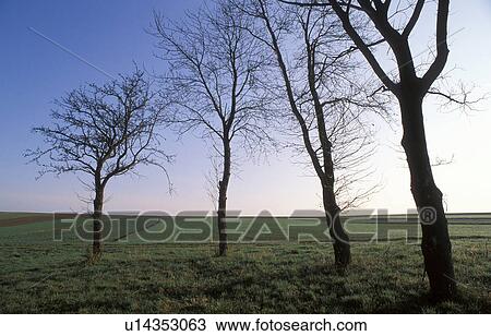 waldviertel, wiesen, ackeranbau, acre, austria, back light View Large Photo Image Stock Image - waldviertel, wiesen, ackeranbau, acre, austria, back light. Fotosearch